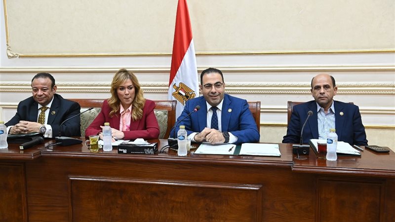 لجنة الشباب والرياضة
