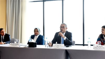 حسام هيبة: نجاح الدولة في قطاع الطاقة المتجددة يحفز جذب الاستثمارات في السوق