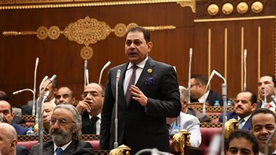 النائب فرج فتحي: مصر لديها جهاز أمني قوي ومحترف قادر على حماية أمن البلاد