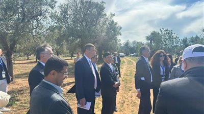 وزير الزراعة يشارك في زيارة حقلية للاطلاع على مزارع الزيتون الايطالية المصابة 