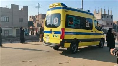 إصابة شخصين إثر سقوط جزء من جدار بالطوب اللبن بقرية جزيرة الحجر بالمنوفية