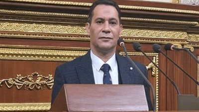 النائب أحمد عاشور: مصر وقطر يجسدان وحدة الصف العربي في مواجهة التحديات