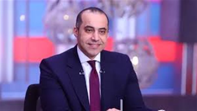 المستشار محمود فوزي