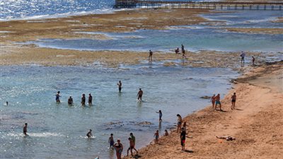 الجيش الإسرائيلي يعتقل سائح عبر الحدود من مصر إلى إيلات عائما