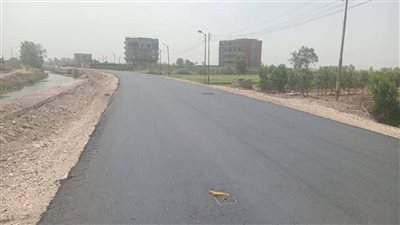 بـ 46 مليون جنيه.. محافظ الشرقية يتابع أعمال رصف الطرق الداخلية بديرب نجم