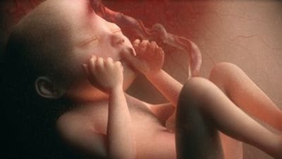 اتفقت أنا وزوجتي حتى تتحسن ظروفنا.. هل تأجيل الحمل حلال أم حرام؟