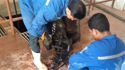 مياه الفيوم: خطة شاملة لرفع كفاءة منظومة الصرف الصحي بالمحافظة