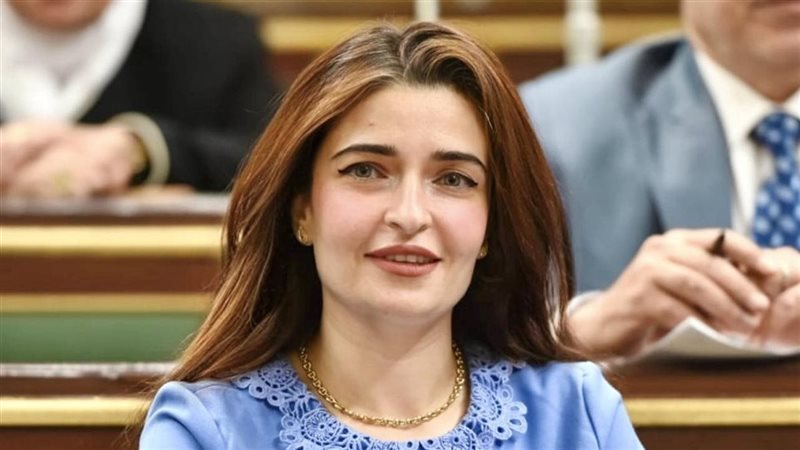 النائبة ايرين سعيد