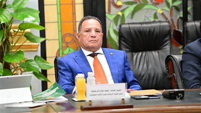 الشعب الجمهوري: استمرار الدولة في تقديم المحفزات الاستثمارية يعظم الصناعة الوط