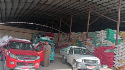 مزارعو البحيرة يواصلون تسليم محصول القمح من خلال 37 مركز 