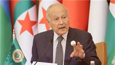 أبو الغيط: القضية الفلسطينية تظل قضية الأمة العربية بأكملها