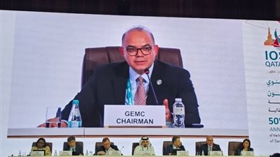 رئيس الرقابة المالية: تعزيز قدرات الجهات الرقابية على أسواق رأس المال