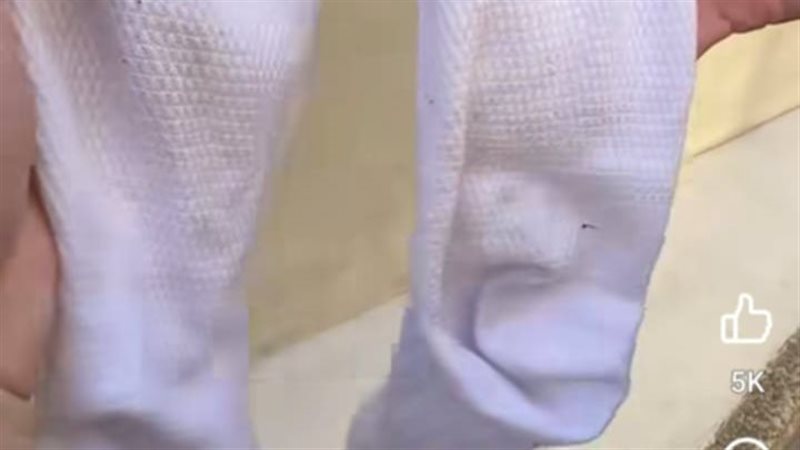 تجربة الجوارب البيضاء