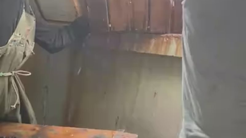 جانب من القاء الاسماك