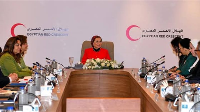 السيدة انتصار السيسي