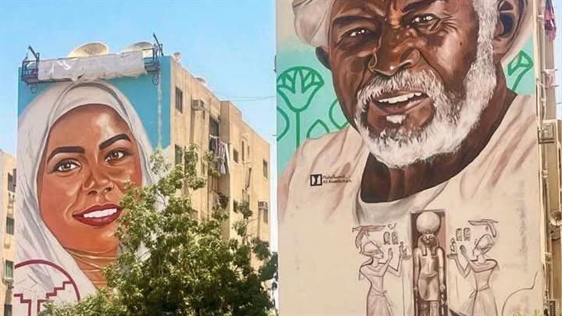 تزيين شوارع أسوان