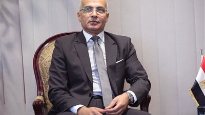 حنان السعيد مديراً لمركز التعليم المدمج بجامعة عين شمس