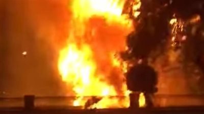 نفوق 2000 دجاجة و3 عجول في حريق مزرعة بمنيا القمح 