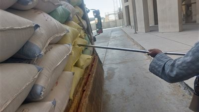 محافظ أسيوط: توريد أكثر من 113 ألف طن قمح حتى الآن