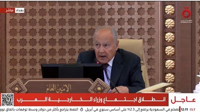 أبوالغيط: نجتمع في وقت مضطرب إقليميا وعالميا تنعكس مخاطرة على الدول العربية 
