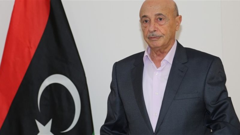 رئيس مجلس النواب