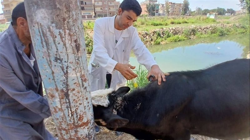 خدمات الهيئة العامة