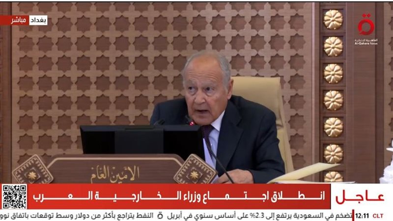 أحمد أبو الغيط