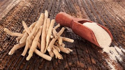 فوائد عشبة الأشواجندا.. تُعزّز النوم وتُخلّصكِ من التوتر