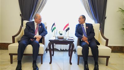 وزير الخارجية يستعرض لنظيره الفلسطيني جهود مصر لوقف إطلاق النار في غزة