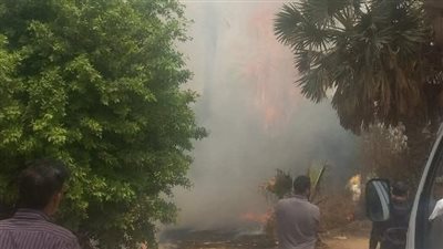 بجوار رابعة العدوية.. حريق هائل يلتهم حديقة بمدينة نصر 