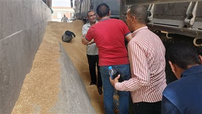 وكيل تموين الفيوم: توريد 146 ألف طن قمح وسط تفاؤل بين المزارعين |صور