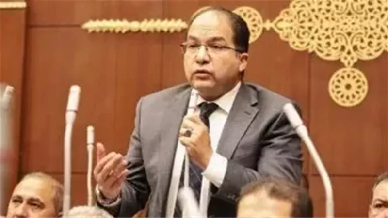 النائب عادل اللمعي