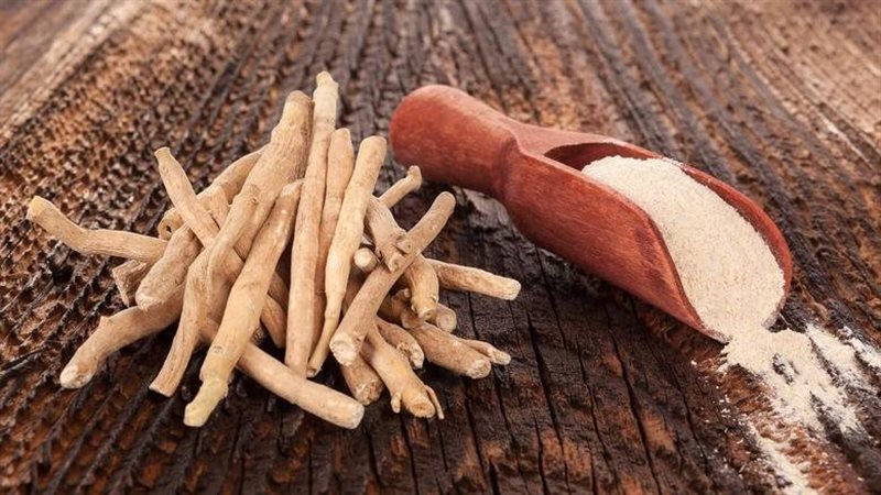 فوائد عشبة الأشواجندا