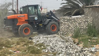 ضمن الموجه 26.. إزالة 12 حالة تعد على الأراضي الزراعية بالإسماعيلية