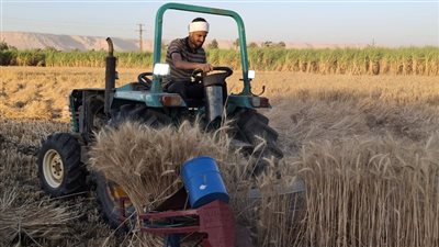 من ساحات المحاكم لغيطان القمح.. حكايات من دفتر محامي الزراعات في قنا