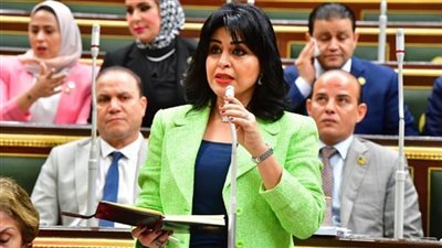 النائبة هند رشاد: الإعلام العربي الواعي هو خط الدفاع الأول في مواجهة الادعاءات
