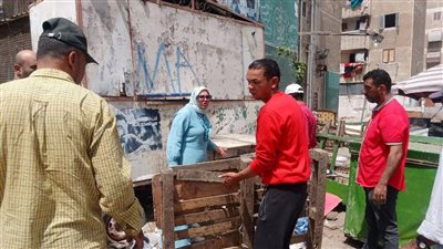 حملة مكبرة لإزالة الإشغالات والأسواق العشوائية بحي الضواحي ببورسعيد |صور