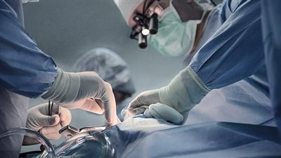 زراعة الأعضاء من الخنازير.. ثورة طبية تمنح الأمل لآلاف المرضى