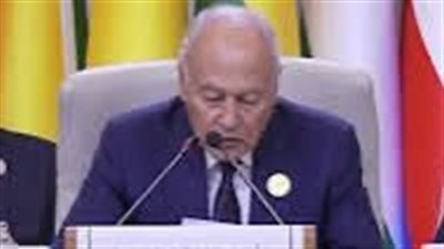 الأمين العام لجامعة الدول العربية: نساند الصومال في الدفاع عن كامل ترابه 