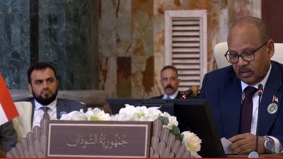 مجلس السيادة السوداني : ميليشيا الدعم السريع تستهدف مقدرات الشعب السوداني 