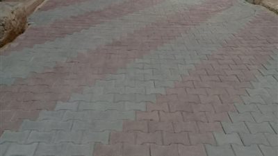 محافظ أسيوط: مواصلة أعمال تركيب بلاط الإنترلوك بالشوارع الضيقة بمنطقة الوليدية