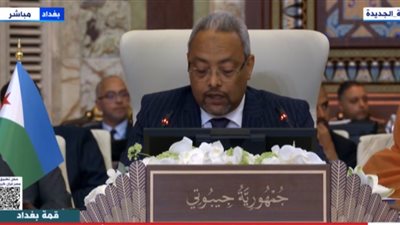 وزير خارجية جيبوتي: ما يعيشه الأشقاء في غزة عار على جبين الإنسانية