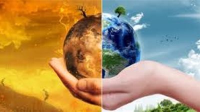 هل طبق الأرز آمناً للاستهلاك الآدمي ؟ دراسة حديثة تحذر  