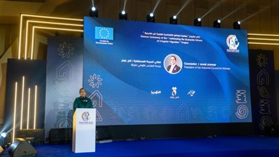 أمل عمار: تمكين المرأة اقتصاديًا هو مفتاح مواجهة الهجرة غير الشرعية