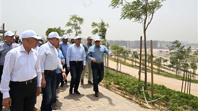 على مساحة 500 فدان.. مشروع 