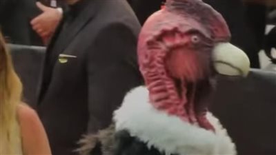 ديك رومي كبير على السجادة الحمراء في فعاليات 