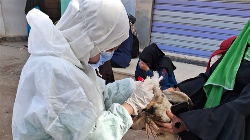 الزراعة تطلق حملات