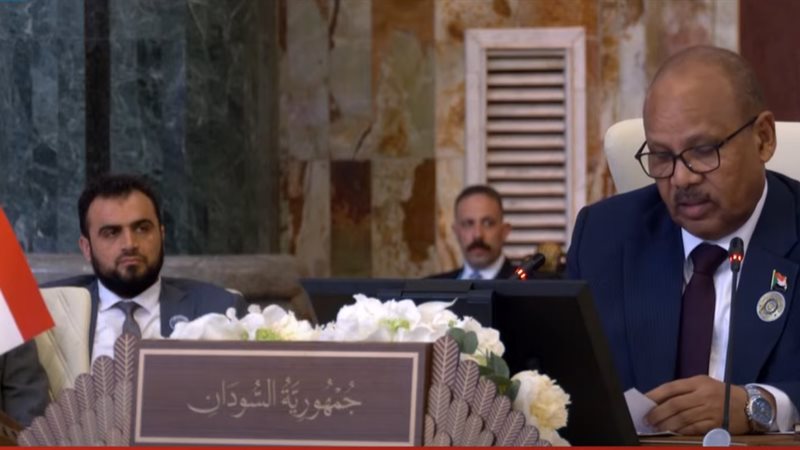 نائب رئيس مجلس السيادة
