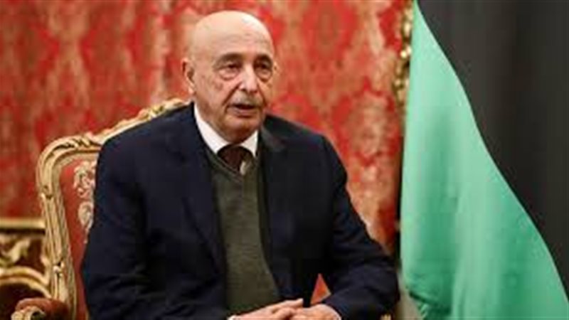 رئيس مجلس النواب